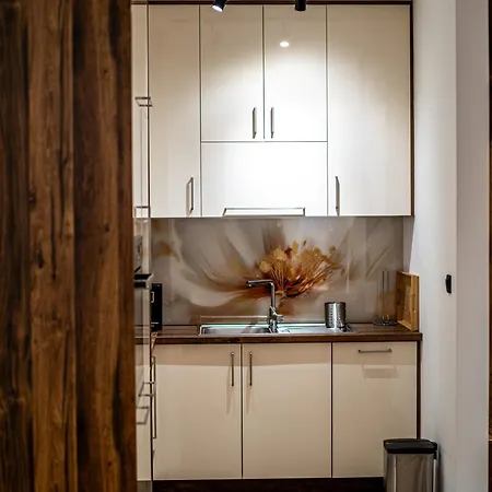 Brilijant Apartment Arandjelovac